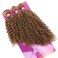 Golden Afro Kinky Curly Synthetic Hair Weave 3 Bundles 16 18 20 Inches Color 27 Heat Resistant Fiber Hair Extensions