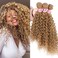 Golden Afro Kinky Curly Synthetic Hair Weave 3 Bundles 16 18 20 Inches Color 27 Heat Resistant Fiber Hair Extensions