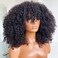 Afro Kinky Curly Wig With Bangs Scalp Top Wig 200 Density Full Machine Made Virgin Brazilian Short Curly Human Hair Wigs Natural Color 14Inch