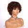 Short Afro Curly Wigs for Black Women, Soft Breatable Synthetic Curly Afro Wigs, Short Afro Wigs for Woman Cosplay Daily Party Use (1BT30)