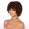 Short Afro Curly Wigs for Black Women, Soft Breatable Synthetic Curly Afro Wigs, Short Afro Wigs for Woman Cosplay Daily Party Use (1BT30)