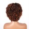 Short Afro Curly Wigs for Black Women, Soft Breatable Synthetic Curly Afro Wigs, Short Afro Wigs for Woman Cosplay Daily Party Use (1BT30)