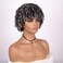 Curly Afro Wig, Kinky Curly Synthetic Grey Wigs for Blcak Women Afro Kinky Curly Wig with Bangs Curly Cosplay Wigs(Silver Grey)