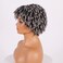 Curly Afro Wig, Kinky Curly Synthetic Grey Wigs for Blcak Women Afro Kinky Curly Wig with Bangs Curly Cosplay Wigs(Silver Grey)