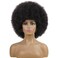 andromeda Afro Wigs for Black Women 70s Short Black Afro Wig Disco Afro Puffy Wigs for Women Kinky Curly Wig 10 Inch Natural Looking Synthetic Wig Daily Party Cosplay Halloween Wig (Black)