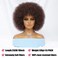 Afro Wigs for Black Women Brown 70s Puff Short Afro Kinky Curly Wig with Bangs for Men 10 Inch Natural Looking Fluffy Large Bouncy Synthetic Hair Big Afro Wig for Daily Party Use（#33）