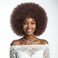 Afro Wigs for Black Women Brown 70s Puff Short Afro Kinky Curly Wig with Bangs for Men 10 Inch Natural Looking Fluffy Large Bouncy Synthetic Hair Big Afro Wig for Daily Party Use（#33）