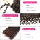 Passion Twist Hair 14 Inch 7 Packs Water Wave Crochet Hair Black Wrap Braiding Hair For Passion Twist Crochet Hair/Butterfly Locs/Spring Twist Crochet Braids Boho Hair Extension (14 Inch, T1B/30#)