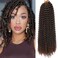 Passion Twist Hair 14 Inch 7 Packs Water Wave Crochet Hair Black Wrap Braiding Hair For Passion Twist Crochet Hair/Butterfly Locs/Spring Twist Crochet Braids Boho Hair Extension (14 Inch, T1B/30#)