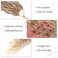 Alicoco Goddess Locs Crochet Hair 14 Inch 8 Packs Faux Locs Crochet Hair For Women Boho Soft Locs Pre-looped River Crochet Locs With Curly Ends (14 Inch (Pack of 8), 27/613)