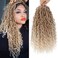 Alicoco Goddess Locs Crochet Hair 14 Inch 8 Packs Faux Locs Crochet Hair For Women Boho Soft Locs Pre-looped River Crochet Locs With Curly Ends (14 Inch (Pack of 8), 27/613)