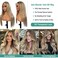 Highlight Wear and Go Glueless Human Hair Wigs, 180% Density Ombre 13x4 HD Lace Front Wigs Human Hair Pre Plucked Brown Balayage Platinum Blonde #60 Lace Frontal Wigs for Women 22" Bleached Knots
