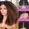 Annivia Highlight Ombre Curly Lace Front Wigs for Black Women Brown Long Curly Lace Front Wig with Baby Hair HD Lace Fronal Wigs Glueless Synthetic Hair 17inch