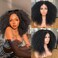 Annivia Curly Lace Front Wig Pre Plucked Kinky Curly Afro Wigs for Black Women 13x4 x1 HD T Part Lace Frontal Wig Long Curly Glueless Synthetic Lace Front Wig Black 17inch