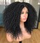 Annivia Curly Lace Front Wig Pre Plucked Kinky Curly Afro Wigs for Black Women 13x4 x1 HD T Part Lace Frontal Wig Long Curly Glueless Synthetic Lace Front Wig Black 17inch