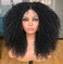 Annivia Curly Lace Front Wig Pre Plucked Kinky Curly Afro Wigs for Black Women 13x4 x1 HD T Part Lace Frontal Wig Long Curly Glueless Synthetic Lace Front Wig Black 17inch