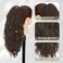 BARSDAR Brown Ponytail Extension - 18 Inch Claw Clip Ponytail Extensions for Women - Curly Wavy Multi Layered Synthetic Fake Clip in Pony Tails Hairpieces Daily Party - Brown