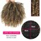 Brown Curly Hair Topper for Women with Bangs Wiglets Hairpieces for Thinning Hair, Synthetic Short Afro Kinky Curly Clip in Bangs Hair Toppers Hair Pieces for Black Women Hair Topper(1B/27#)