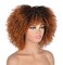 ANNISOUL 10Inch Short Curly Afro Wigs for Black Women Bomb Afro Kinky Curly Wig with Bangs Synthetic Fiber Full Wig(Black To Brown)