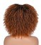 ANNISOUL 10Inch Short Curly Afro Wigs for Black Women Bomb Afro Kinky Curly Wig with Bangs Synthetic Fiber Full Wig(Black To Brown)