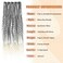 24inches 5PCS Clip in Dreadlock Extensions,20 Strands Boho Dreads Thin Soft Clip in Boho Dread Extensions for Women (1B/613,Boho)