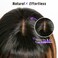 Bang Wigs Human Hair Glueless Straight Layered Bob Hairstyle 4x2 Transparent Lace Ombre Brown Highlights for Women 12 Inch