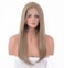 Sandy Blonde Wigs with Baby Hair, Dirty Blonde Synthetic Hair Straight Wig Glueless Lace Front Wig 20 inch EALGA-019-1