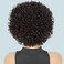 UDU Short Curly Human Hair Wigs For Black Women Dark Brown Human Hair Curly Wigs Non Lace Glueless Wigs Human Hair Side Part Wigs (2#)