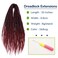 30 Inch Dreadlocks Extensions Burgundy Dreads Locs Crochet Hair for Women 20 Strands Handmade Soft locs crochet hair braids Synthetic thin 0.6cm Hippie Double Ended Dreadlocks(30,1b/bug)