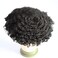 Male Afro Toupee Hair Braids12mm Wave 360 Curly Man Hair Unit 1B Off Black 100% Human Hair Afro Curly Hairpiece Men's Wig 8x10inch Men's Hair Systems Translucent French Lace