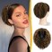 RUWISS Real Human Hair Ponytail Extension Comb Clip in Drawstring Ponytail Hairpieces for Daily Use, Short Natural Wave Ponytail for Women, 9inch Golden Chestnut Mixed Light Golden Blonde Pony Tails