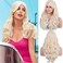 AneShe 24" Wig Women's Big Wave Synthetic Hair Long Stylish Curly Hair Wigs (Blonde 613)