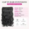 REECHO 16" 1-Pack 3/4 Full Head Curly Wavy Clips in on Synthetic Hair Extensions HE008 Hairpieces for Women 5 Clips 3.9 Oz per Piece - Natural Black