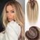 starluck 5x5 inch Lage Silk Base 14 Inch Real Human Hair Toppers,60 Gram, 100% Real Human Hair Toppers for Women with thinning hair hair loss（Blonde Mixed Brown with Dark Brown Roots, no Bangs