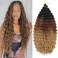 Deep Wave Crochet Hair 22 Inch Ocean Wave Crochet Hair Curly Hair for Black Women 3packs Boho Hair for Braiding Wet and Wavy Curly Braiding Hair Extensions (22 Inch, 1B/30/27)