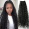 Pre-looped Crochet Locs with Human Hair Curls Dreadlocks Hair With Curly Human Hair End Soft Messy Boho Box Locs for Women 26inch 72 Locs