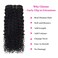 Curly Clip in Hair Extensions Real Human Hair 3B 3C Curly Hair Clip in Extensions for Women 10pcs 120g Jerry Curly Clip ins Brazilian Human Hair Curly Clip in Extensions (12 Inch)