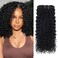 Curly Clip in Hair Extensions Real Human Hair 3B 3C Curly Hair Clip in Extensions for Women 10pcs 120g Jerry Curly Clip ins Brazilian Human Hair Curly Clip in Extensions (12 Inch)