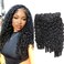 Curly Human Hair Bundles 16 18 20 Inches 3Pcs Water Wave Burmese Curly Bundles Human Hair Weave with Spriral End 3c4a Curly Quick Weave Hair Bundles for Women Natural Black