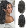 Ponytail Extension,Curly Drawstring Ponytail Extension for Black Women Natural Black Curly Clip in Hair Extensions 14 Inch Synthetic Hairpiece for Daily Party
