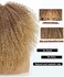 16 Inch Curly Wig Afro Curly Wigs for Black Women Afro Kinky Curly Wig With Bangs Full and Fluffy Glueless Wig Synthetic Hair Replacement Wigs for Cosplay and Daily (Ombre Blonde)