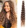24 Inch 2 Pack Deep Wave Crochet Hair For Black Women Curly Braiding Hair Ocean Wave Braiding Hair Extensions Soft Crul Crochet Hair For Boho Braids(24inch, 2pack, T4/30)&hellip;