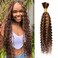 50g 18 Inch Human Braiding Hair Ombre Braiding Hair Deep Curly Wave Bulk Human Hair for Braiding Wet and Wavy 1 Bundle/Pack No Weft P4/27 Highlight Brown Human Braiding Hair for Micro Braids