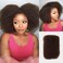 QUEEN VIRGIN REMY QVR Afro Kinkys Bulk Human Hair for Dreadlock Extensions Repair Locs, Twist Braiding Afro Kinky Human Hair for Locs 1 Pack 50 Gram