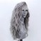 Silver Grey Long Curly Synthetic Lace Front Wigs for Women Free Part Pre Plucked Natural Hairline Lace Front Synthetic Cosplay Wigs Glueless Daily Wear Costume Wig 24 Inches