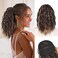 QGZ Highlights Ponytail Extension 14 Inch Drawstring Ponytail for Women Synthetic Short Curly Wavy Fluffy Clip in Ponytail Hair Extensions for Women(Chocolate Brown with Caramel Blonde Highlights)
