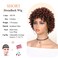 WIGER Ombre Ginger 350 Faux Locs Hair Wigs Short Dreadlock Wig for Black Women And Men Afro Curly Braided Wigs Glueless Afro Kinky Twist Wigs Synthetic Short Dreads Wig