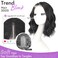 Black Short Wavy Wig for Women Lace Hairline Bob Style Synthetic Heat Resistant - Natural Appearance for Everyday Hairstyle 14 Inch