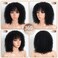 Style Icon 14&rdquo; Short Afro Curly Human Hair Wigs Glueless Black Wig