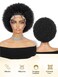 Fancy Hair Cornrow with Afro Puff Wig HD Lace Front Braided Wig with Baby Hair Pre Plucked Glueless Transparent 13x4 Inch Lace Frontal Wigs for Black Women Natural Hairstyle